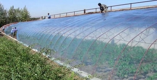 大棚吹膜用哪種增白劑？